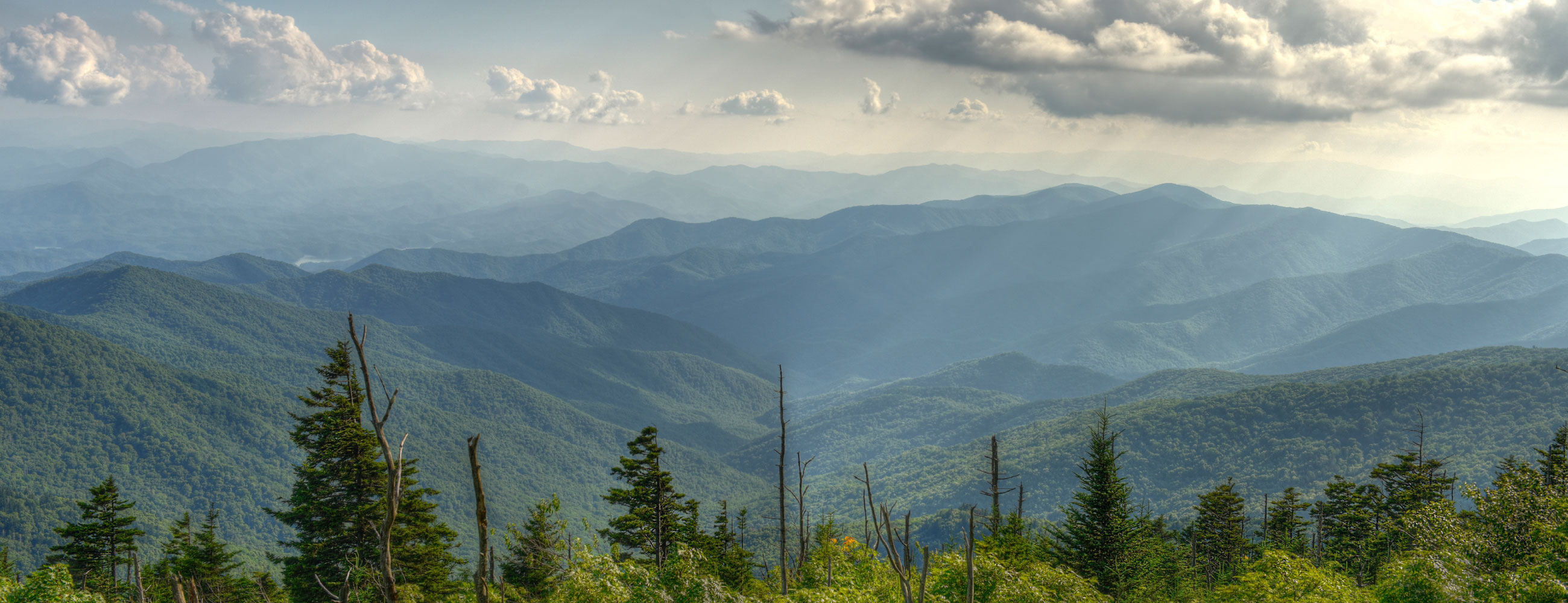 Soloman Gadgets Mart